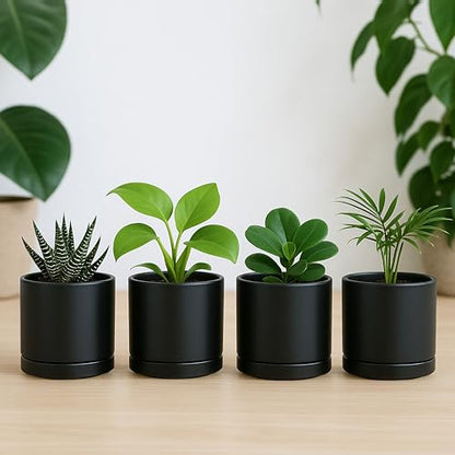 D'vine Dev 4-Pack Ceramic Pots with Saucers, Black, 3.5 in, 94-X-A-2 - color: Black, size: 3.5 Inch