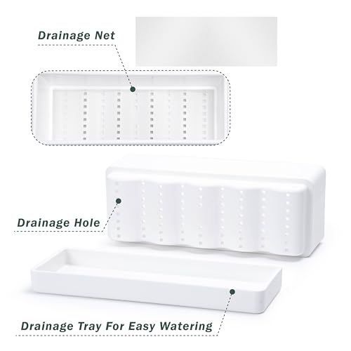 D'vine Dev 2-Pack Rectangular Planters, 12 x 4.5 in, White, 76-X-A-2 - color: White