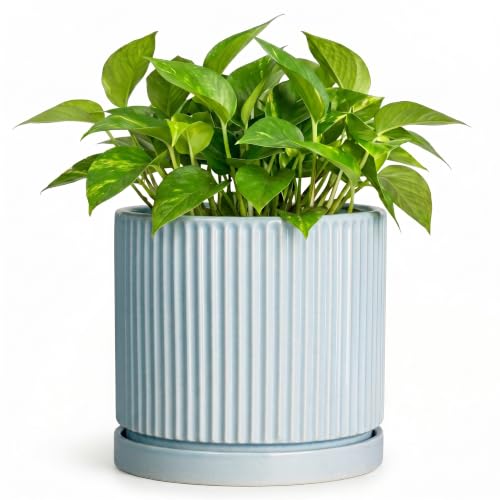 Ceramic Flower Pots, 6 Inch Planters with Saucer, Light Blue - color: Light Blue, size: 6 Inch