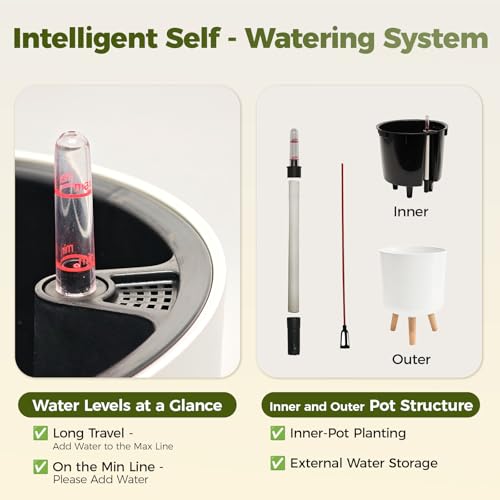 Bamworld Self Watering Pots for Indoor Plants with Water Level Indicator - size: 12 in