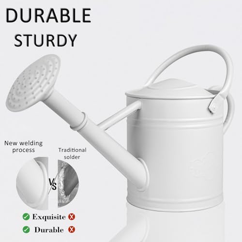 1 Gallon White Metal Watering Can with Removable Watering Rose