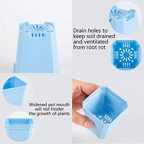 30Pcs 3" Plants Nursery Pot with 30 Saucers Blue, Square Planting Pots - color: Blue