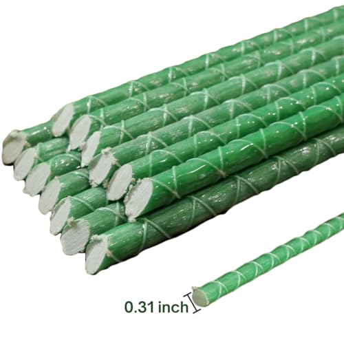 36 Inch Fiberglass Eco Friendly Garden Stakes 3ft 15 Pack - Durable, Lightweight, Tomato, Tree, Strawberry, Plant, Support Fencing Stakes with Patterned Surface, 5/16" Diameter