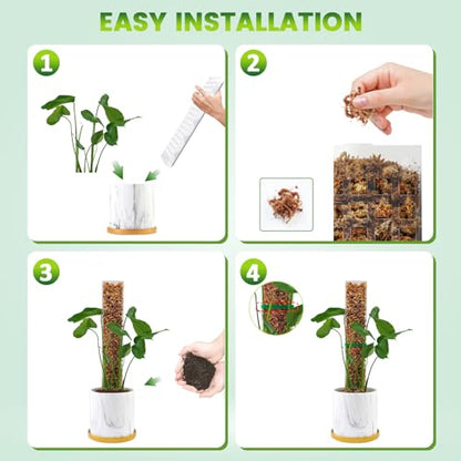 EOX Plastic Moss Pole Kit for Monstera, 15-Inch, 4-Pack, 5.3oz Moss