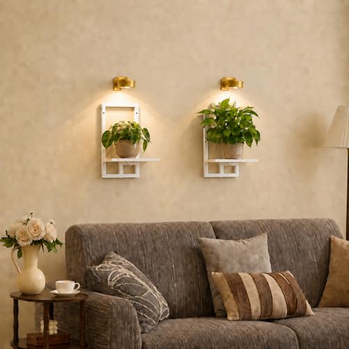 Wall Plant Holder with Grow Lights, Set of 3 Floating Planter Shelves for Indoor Plants, Wall Plant Shelf for Bedroom, Living Room, Kitchen (2, White) - color: White