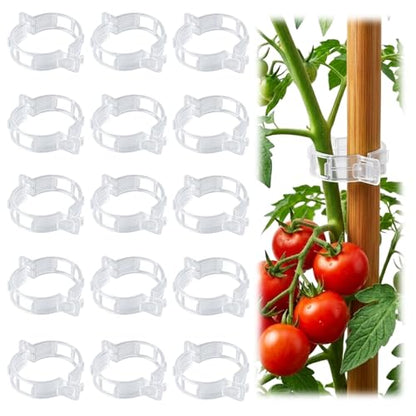 LOOHOI 100Pcs Tomato Clips for Climbing Plants Trellis Plant Support Clips - color: Translucent