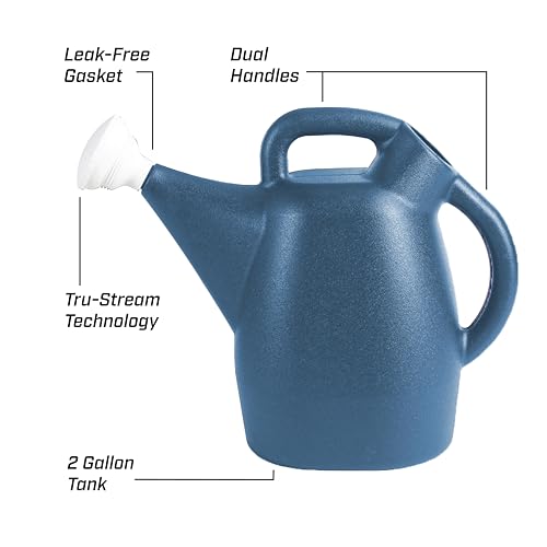 CHAPIN 48010 2-Gallon Watering Can, Drip-Free Spout for Clean Pour - style: 2 Gallons, Blue