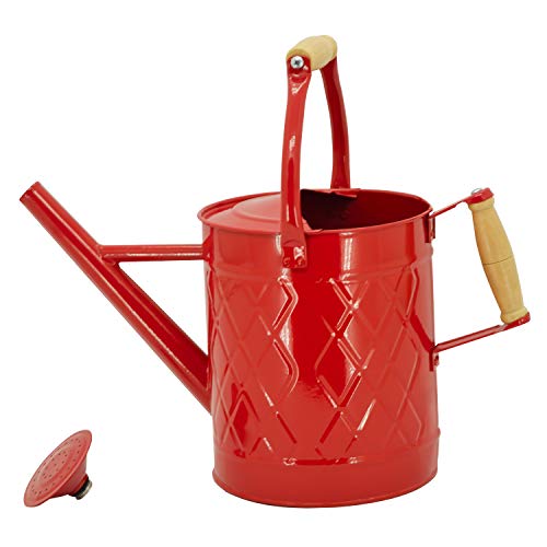 1 Gallon Red Metal Watering Can, Removable Spout - color: Red, size: 1 Gallon