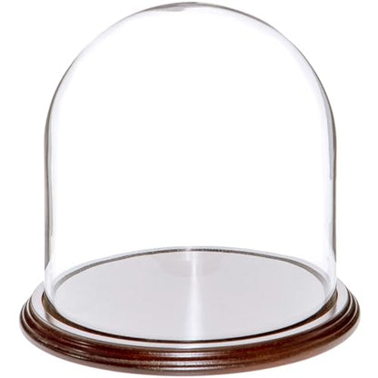 Plymor 8" x 8" Glass Display Dome Cloche (Dark Mahogany Veneer Base) - color: Dark Mahogany Veneer Base