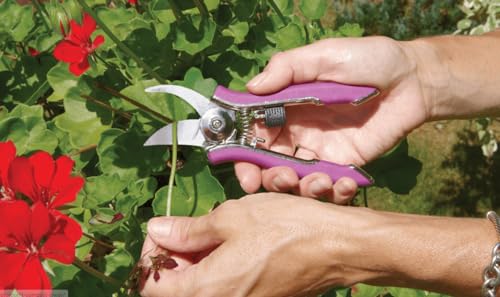 Dramm ColorPoint Stainless Steel Compact Garden Pruning Shears, Hand Pruner, Garden Clippers, with Heavy Duty Blade and Easy grip Handle, Red - color: Red, style: Classic