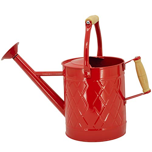 1 Gallon Red Metal Watering Can, Removable Spout - color: Red, size: 1 Gallon