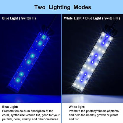 DaToo Aquarium Light Small LED Clip Light for Fish Tank 10W, 1 Yr Warranty - size: 10W (Without Timer & Dimmer)
