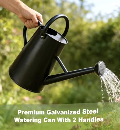 Watering Can for Outdoor&Indoor Plants，1.5 Gallon，Black - color: Black
