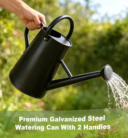 Watering Can for Outdoor&Indoor Plants，1.5 Gallon，Black - color: Black