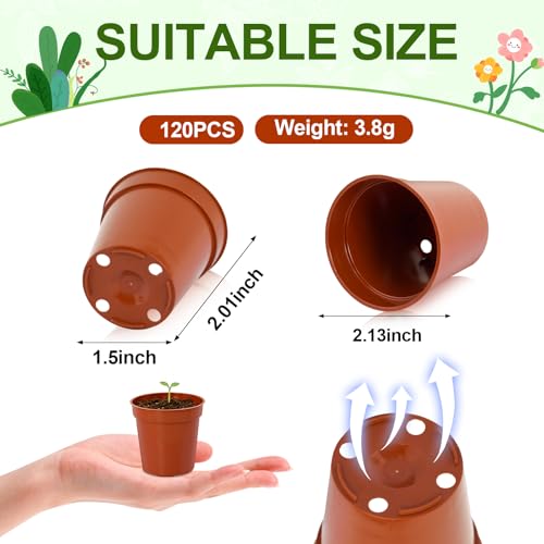 120 Pcs 2 Inch Red Mini Nursery Pots, Seedling Pots with Drainage Holes - color: Red