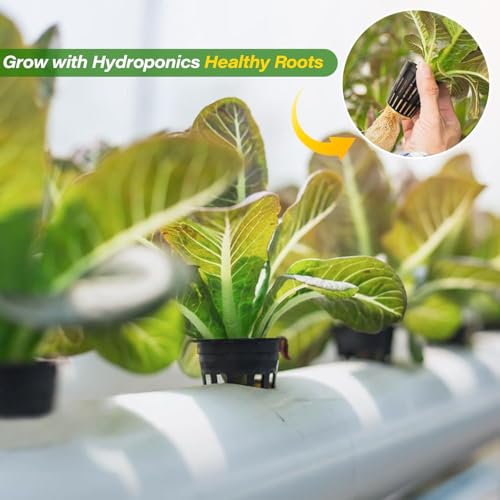 ZeeDix 2 Inch Net Pots for Hydroponics 100 Pack Net Cups Hydroponic Baskets - color: Black - 100 Pcs