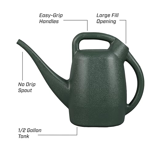 CHAPIN 48005 1/2-Gallon Watering Can, Easy-Pour Dual Handle Design - style: 0.5 Gallons, Green
