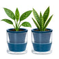 D'vine Dev Self-Watering Blue Terracotta Planter, 4 in, 2-Pack, 37-Y-A-4 - color: Blue, size: 4 Inch