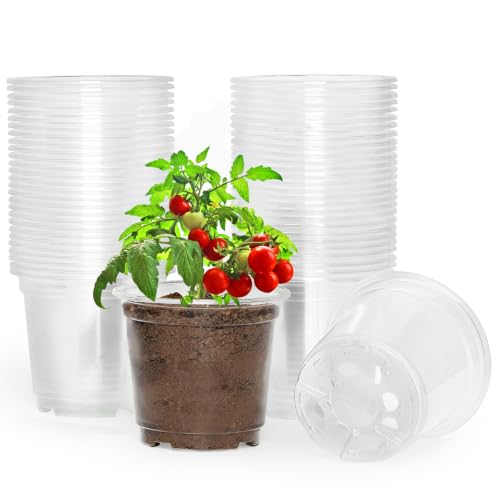 JNYONG 60 Pack 4 Inch Clear Nursery Pots with Drainage Hole - size: 4 Inch 60 pack