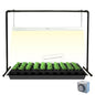2 feet LED Grow Light Stand for Seedling,Iron Pipe Frame,with Natural White Light Full Spectrum LED Plant Growing Lamp, Light Height Ajustable,with Timer Outlet - style: Iron Pipe 2 Feet