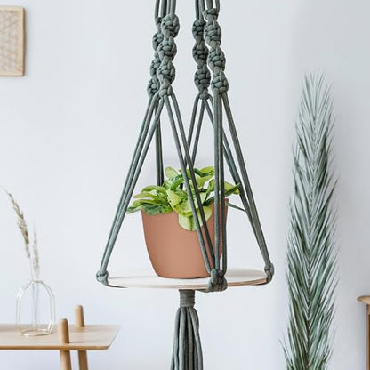 Plant Pots Indoor with Drainage, 5 Pack Multi-Size Planters Set, Terracotta - color: Terracotta, size: Pack of 5