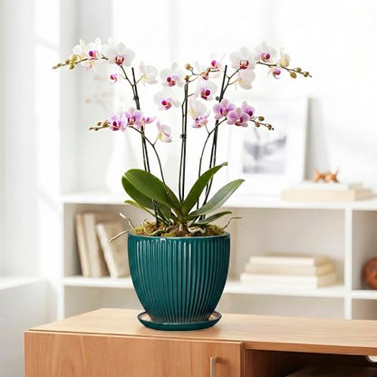 Ceramic Planter, 8 Inch Plant Pots with Saucer, Blackish Green - color: Blackish Green, size: 8 Inch