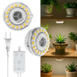 Puck Grow Lights for Indoor Plants, Dual 5W+5W Heads with Timer - size: 2-Head with timer
