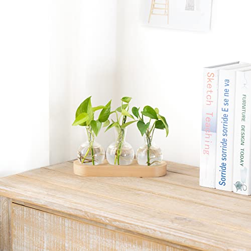 Mkono Plant Propagation Station, Desktop Glass 3 Bulb Vase Beige Wood Tray - color: Beige, size: Medium