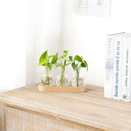 Mkono Plant Propagation Station, Desktop Glass 3 Bulb Vase Beige Wood Tray - color: Beige, size: Medium