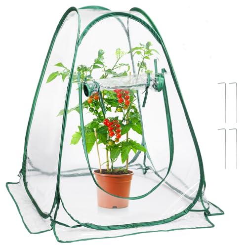 Lyellfe Pop Up Greenhouse Cover, PVC Mini Greenhouse with Nails - size: 28" x 28" x 34"