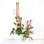 Treleaf Zella Grande Starter Kit – Wooden Extendable Plant Trellis for Indoor Climbing Houseplants – Modular Plant Support with 2 Bases + 2 Extensions - Moss Pole Alternative - size: Grande Kit