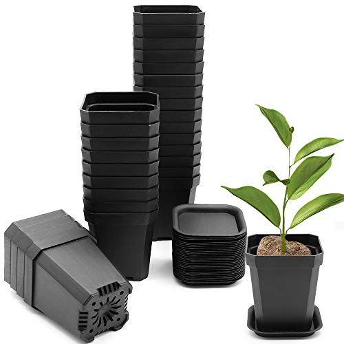 30Pcs 3" Nursery Pot with 30 Saucers Black, Square Plastic Plants Pots - color: Black