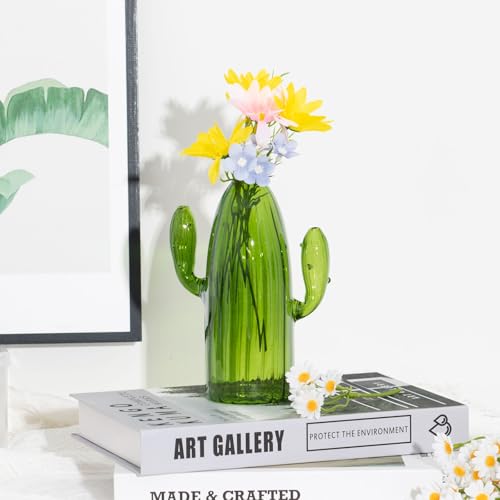 XXXFLOWER Cactus Plant Propagation Station 1 Cactus Vase Terrarium Jars - size: 1PC Cactus Vase