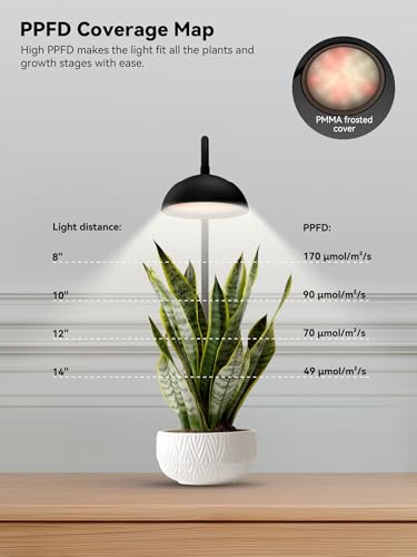 GLOWRIUM Smart Grow Lights for Indoor Plants,Full Spectrum Desk Plant Light - color: Black