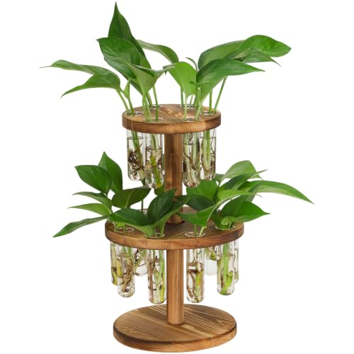 Plant Propagation Station, 15 Propagation Tubes with Wooden Stand - size: Double layer