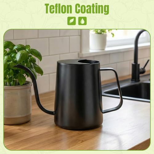 Watering Can Indoor Plants, 34oz Stainless Steel Long Spout, Black - color: Black