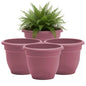 Bloem Ariana 6" Plastic Self-Watering Planter, Dusty Rose, 4-Pack - color: Dusty Rose, size: 6" (Pack of 4)
