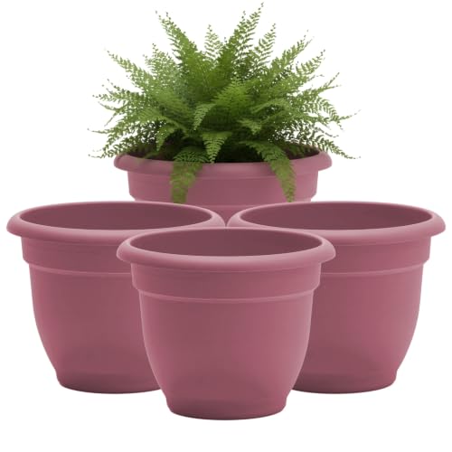 Bloem Ariana 8" Plastic Self-Watering Planter, Dusty Rose, 4-Pack - color: Dusty Rose, size: 8" (Pack of 4)