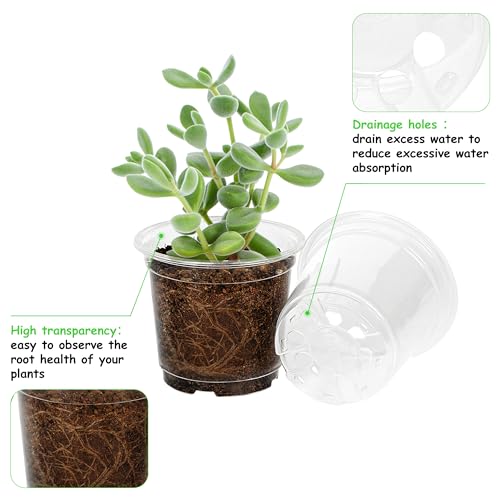 JNYONG 120 Pack 4 Inch Clear Nursery Pots with Drainage Hole - size: 4 Inch 120 pack