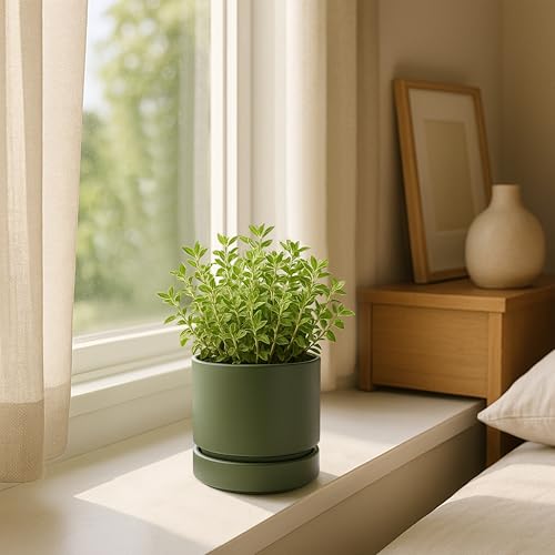 Phoenix Vine 4 Inch Planter Pot with Drainage Hole & Saucer, Deep Water Catch Tray, Straight Cylindrical Round Pot for Plants, Olive, Pack of 2, 23-D-R-2 - color: Olive, size: 4" (2 Pack)