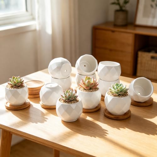ZOUTOG 12 Pack 2.5" Square Ceramic Succulent Pots with Bamboo Tray - size: 2.5 inch