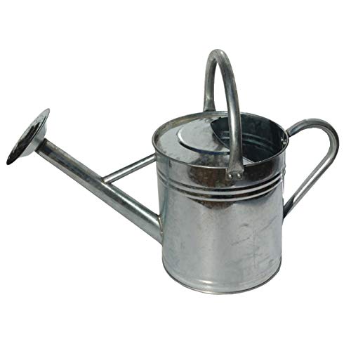 Gardener's Select AW3003P6G Watering Can, Galvanized, 3.5 L - color: Galvanized, size: 3.5 L