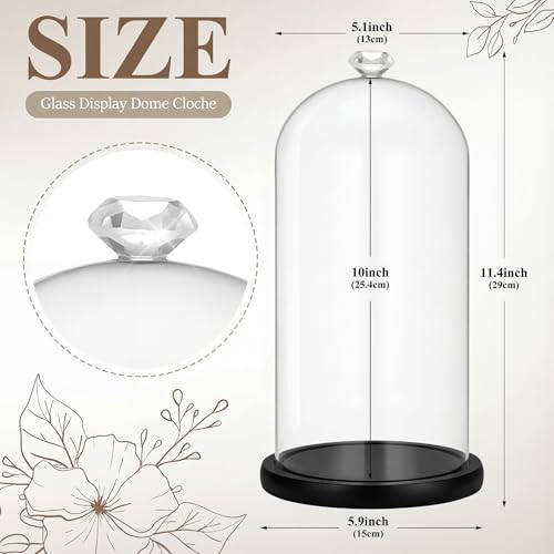 Suclain 1 Pcs Glass Cloche Dome with Wood Base Diamond Handle,Black - color: Black