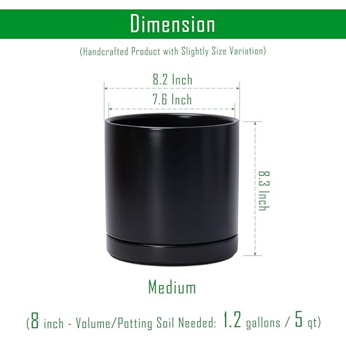 D'vine Dev 2-Pack Ceramic Pots with Saucers, Black, 8.2 in, 94-V-D-2 - color: Black, size: 8 Inch