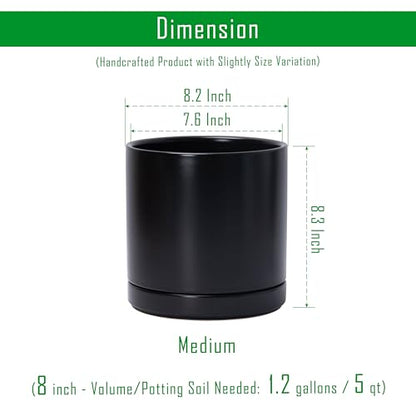 D'vine Dev 2-Pack Ceramic Pots with Saucers, Black, 8.2 in, 94-V-D-2 - color: Black, size: 8 Inch
