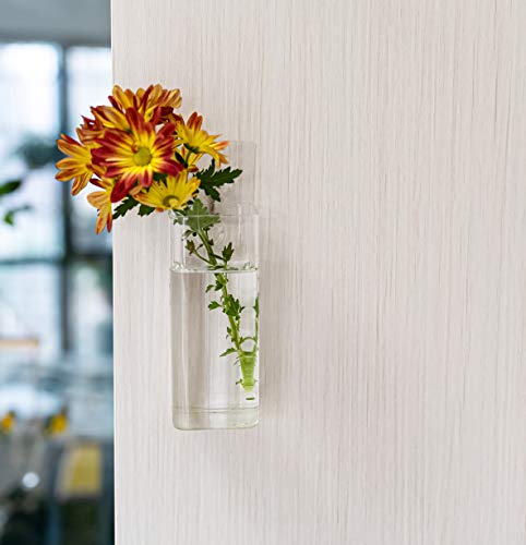 Square Glass Propagation Vase 2 Pack, Wall Hanging Hydroponic Planter - color: Square Tube
