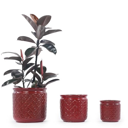 3 PCS Ceramic Planter, 9/12/15 Inch Deep Cylinder Planter with Drainage Hole, Large Plant Pots for Tree Foliage - Red - color: Red