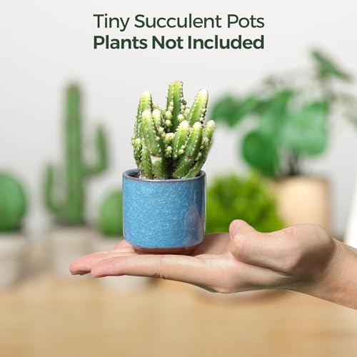 T4U Mini Succulent Pots, Small Ceramic Planters, Retro Gift Set of 12 - size: 2.4"*2.4"