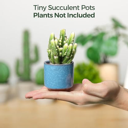 T4U Mini Succulent Pots, Small Ceramic Planters, Retro Gift Set of 12 - size: 2.4"*2.4"