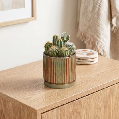 4 Inch Pots for Plants, Ceramic Plant Pots with Saucer, Retro Brown - color: Retro Brown, size: 4 Inch